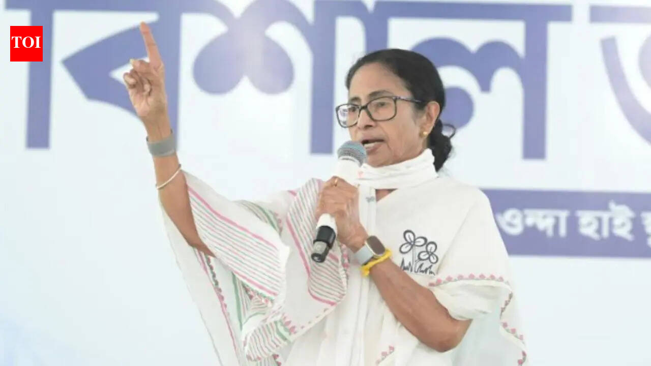Bengal polls: Many will be detained, arrested in operations starting Sunday night, be careful, says Mamata Banerjee