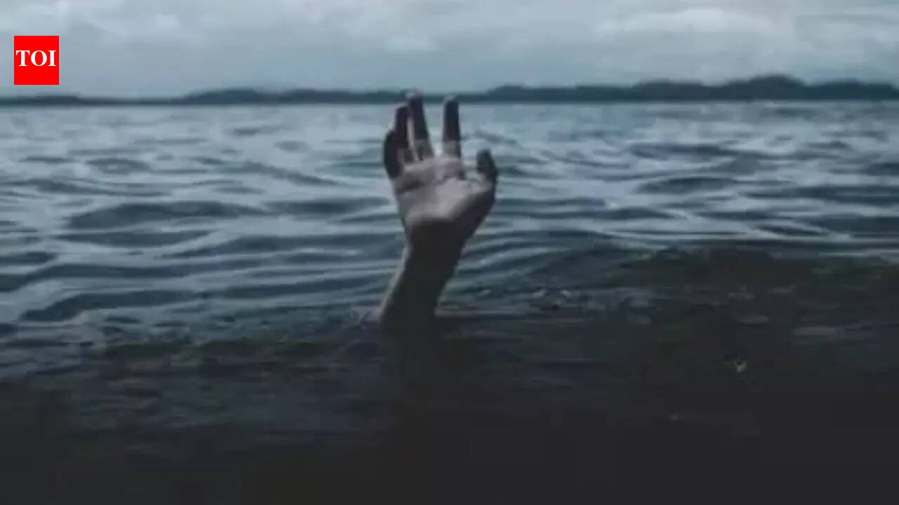 Techie from Andhra drowns in Missouri river on birthday outing