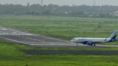 Hyderabad-Surat flight hits jackal on runway