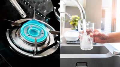  What makes it so expensive