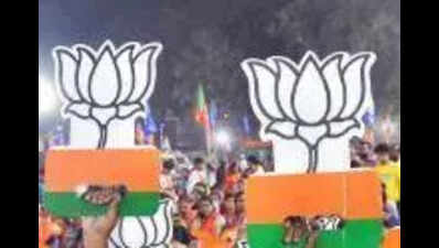 Delhi BJP releases campaign backing women's quota