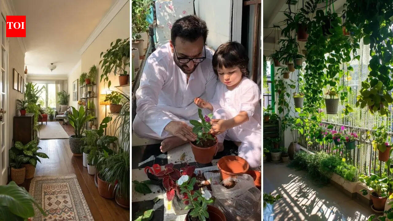 National Gardening Day: Houseplants are the new statement pieces