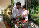 National Gardening Day: Houseplants are the new statement pieces