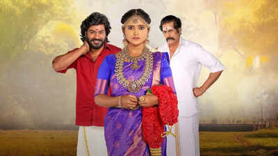 Chinna Marumagal: Everything about the family drama starring Navin Kumar and Swetha