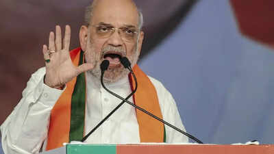 ‘Fed biryani to Pakistani terrorists’: Amit Shah attacks Mamata Banerjee at Bengal rally