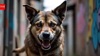 UK dog attack: 19-year-old woman dies in Essex property attack