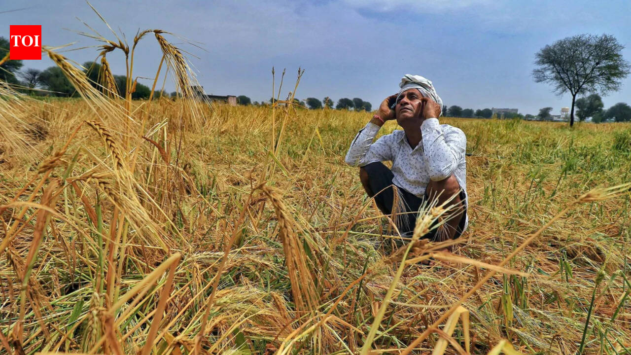 IMD predicts ‘below normal’ monsoon rainfall over the country amid growing risk of El Niño