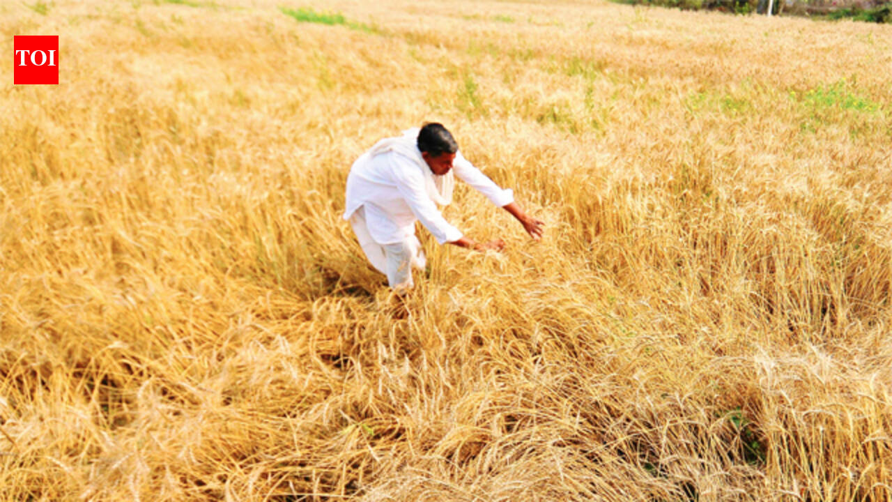 Fertilizer supply concerns grow; govt warns against hoarding