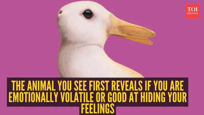 Optical illusion personality test: Rabbit or duck? The animal you see first reveals if you are emotionally volatile or good at hiding your feelings