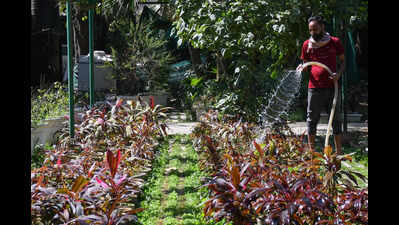  The Silent Hands Behind Delhi’s Iconic Heritage Park
