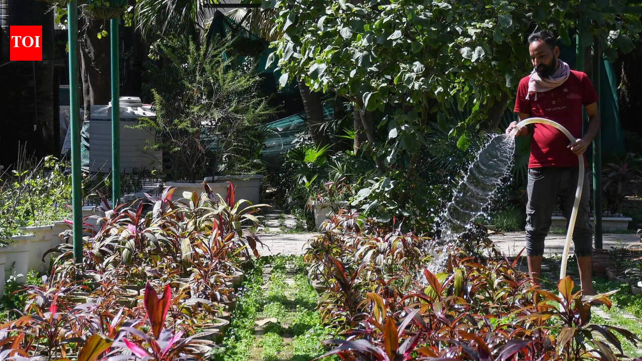 90 Years of Lodhi Garden: The Silent Hands Behind Delhi’s Iconic Heritage Park