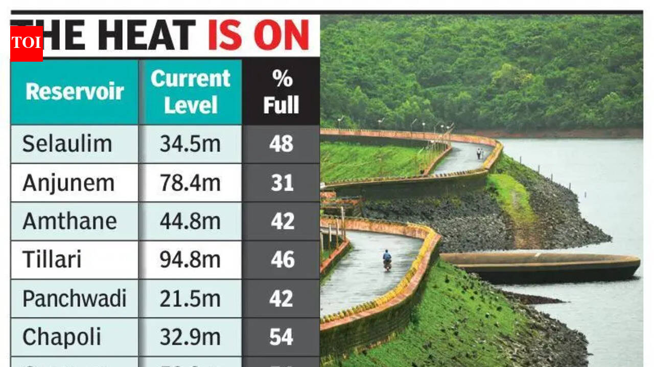 Water levels in reservoirs across Goa dip to below 50% of capacity 