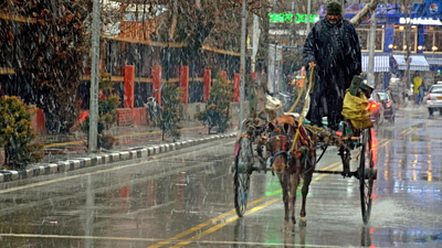 J&K: Last tonga in Srinagar rolls again, 70-year-old keeps past alive