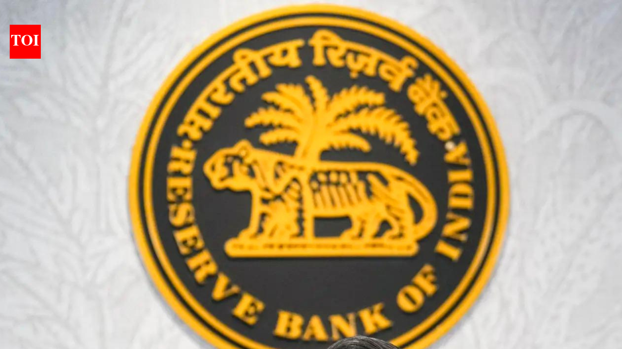 Ensure human accountability when deploying AI: RBI dy guv