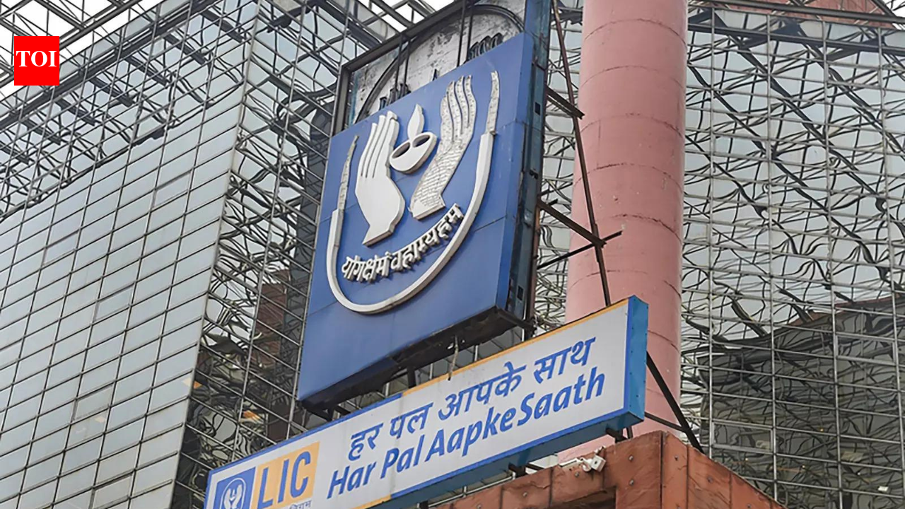 LIC approves 1:1 bonus share issue