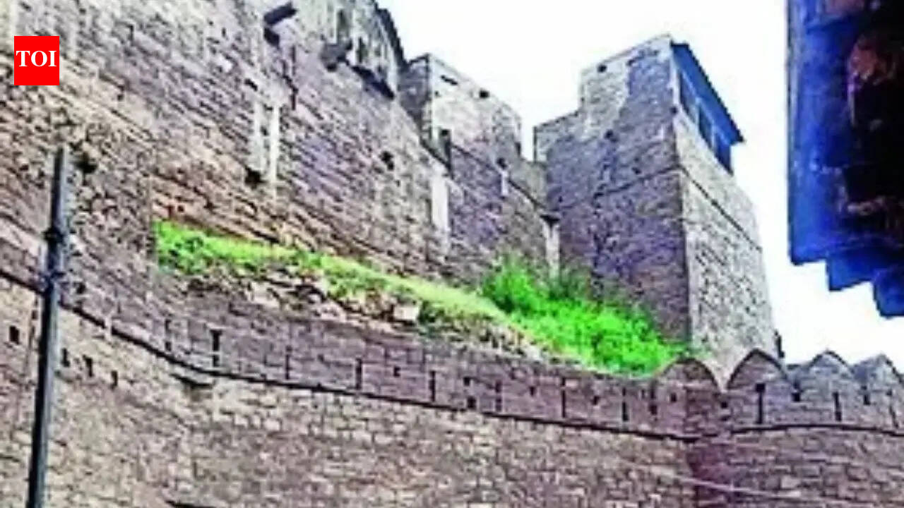 'Treasure hunters' dig a 20-ft deep tunnel inside ASI-protected site in MP