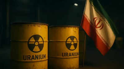 Russia offers to take in Iran's enriched uranium