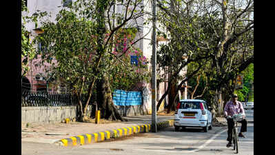 Balancing Heritage And Greenery With Cultural Buzz