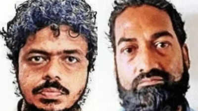 NIA court gives life term to 3 for planning Al-Qaeda-linked terror attacks in UP
