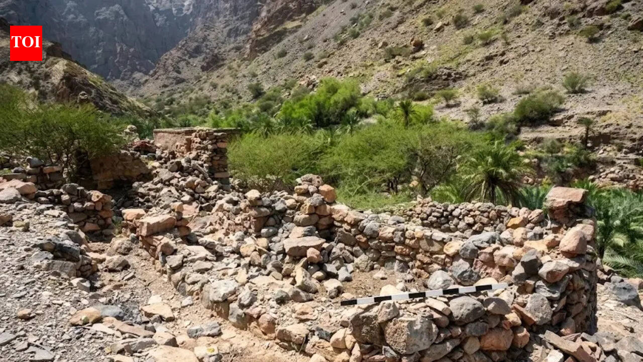 Oman: What began as road construction reveals 3,000-year-old graves and rare Iron Age burial rituals