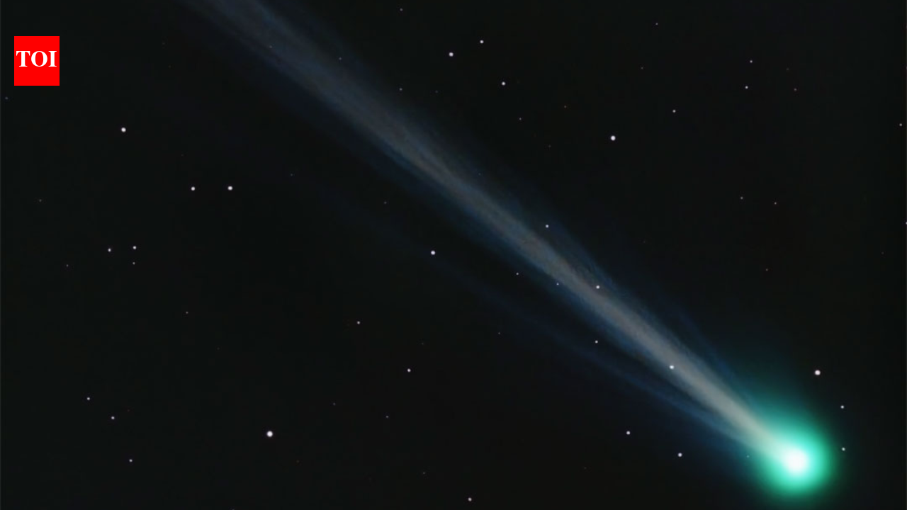 This comet is ‘regrowing’ its tail in space and scientists compare it to a lizard