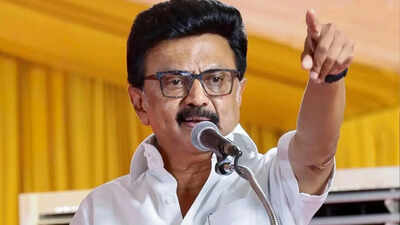 'Tamil Nadu will fight': CM Stalin warns PM Modi over north gain in delimitation