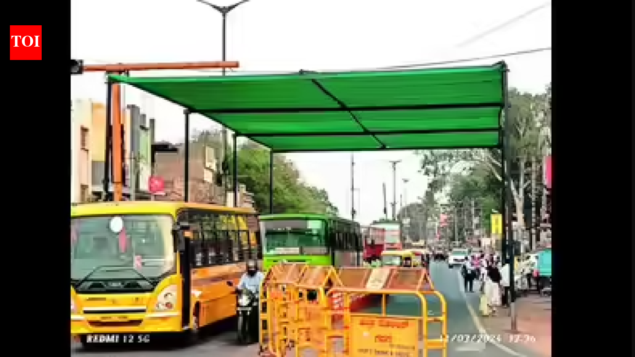 Councillors demand installation of green nets at traffic signals in Coimbatore