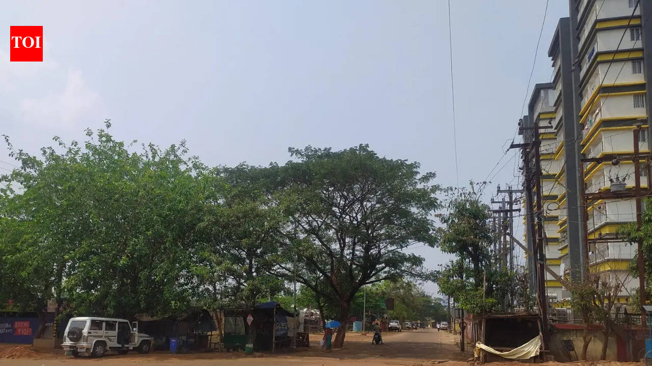 Bhubaneswar Development Authority floats Rs 77cr tender for Gadakana-Patia stn road link