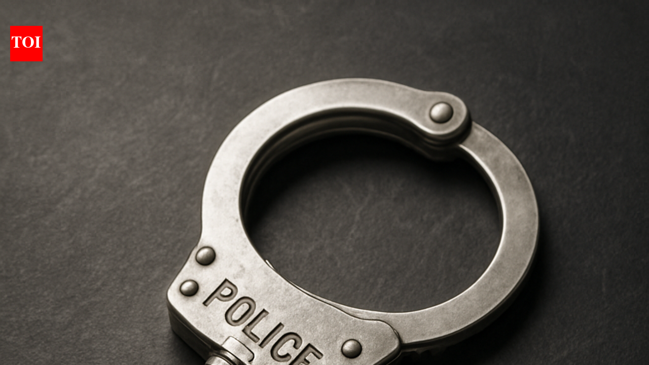 Aviation services firm director among 2 held for assaulting brigadier, son in Vasant Vihar