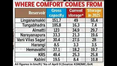 Karnataka’s reservoirs at 43% but summer stress builds