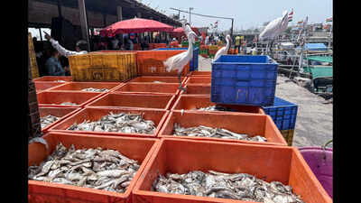 Modern fishing village proposed at Canacona