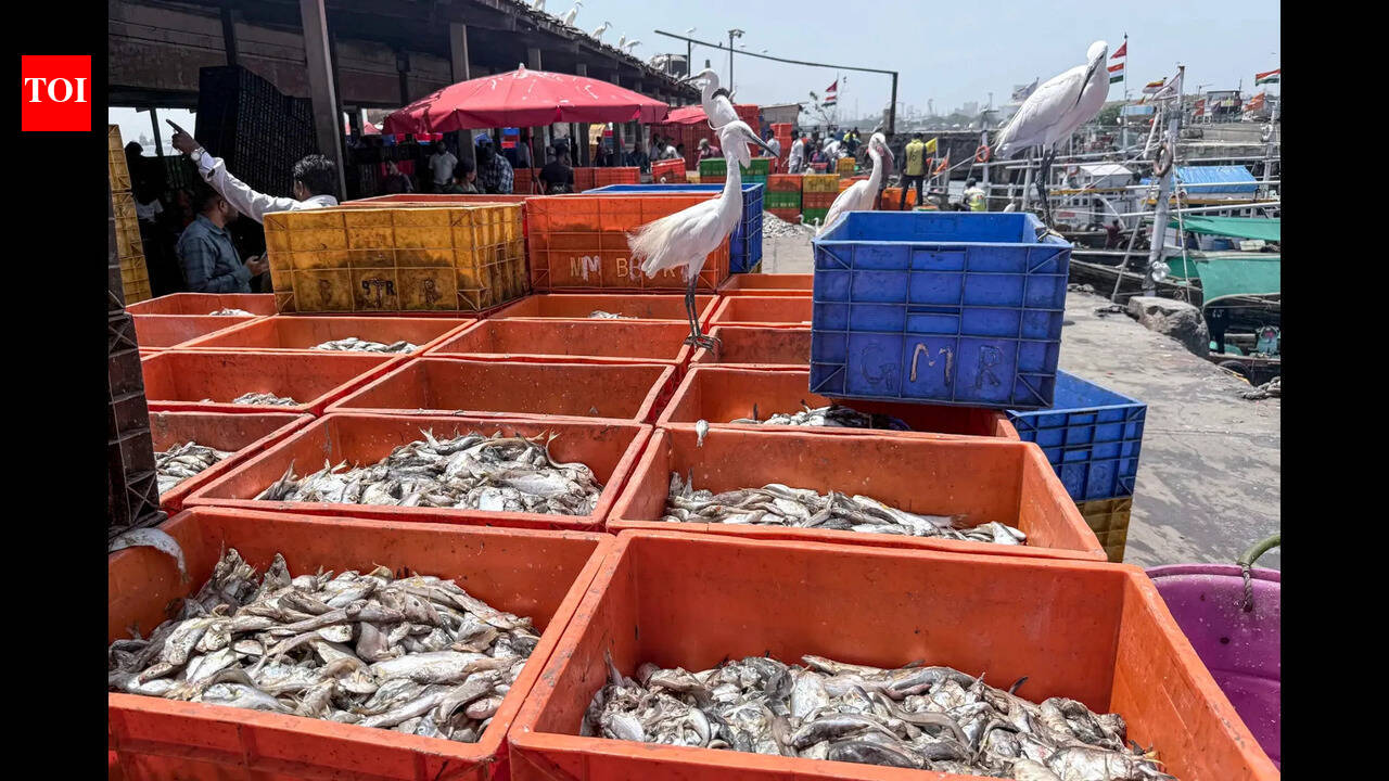 Modern fishing village proposed at Canacona