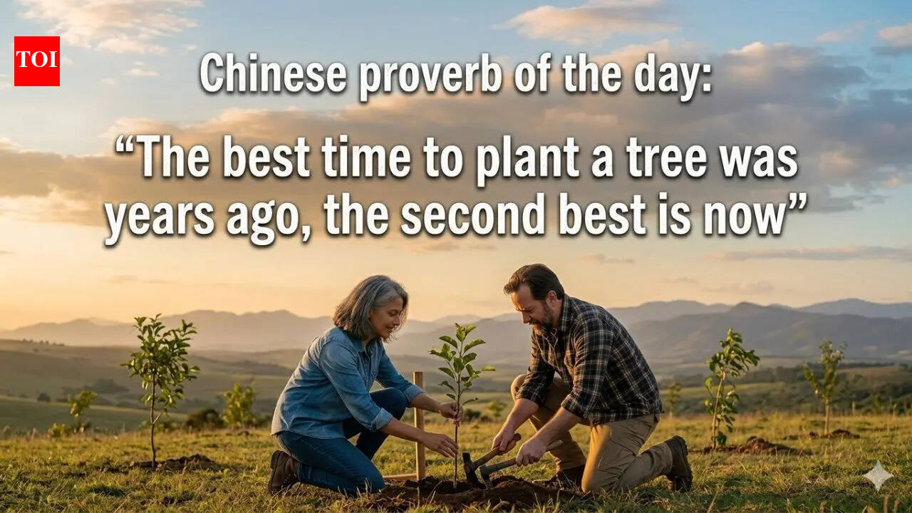 Chinese proverb of the day: “The best time to plant a tree was years ago, the second best is now”
