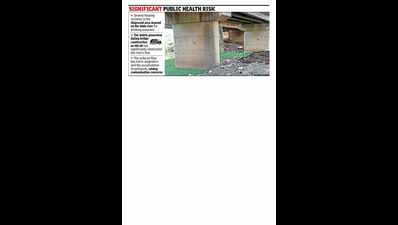 Hinjewadi residents raise drinking water concern as debris blocks Mula flow
