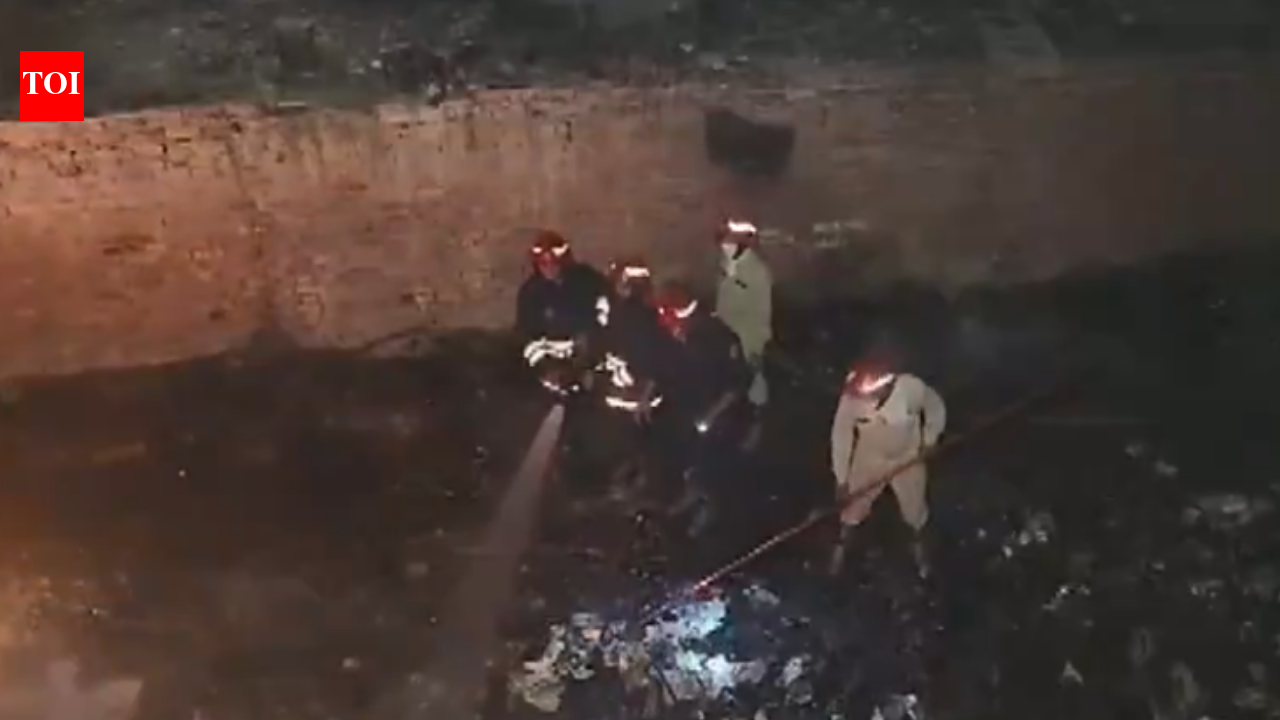 Delhi fire: 3, including toddler, dead as massive blaze tears through Rohini shanties