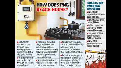 As LPG supply falls, demand for PNG sees four-fold spike