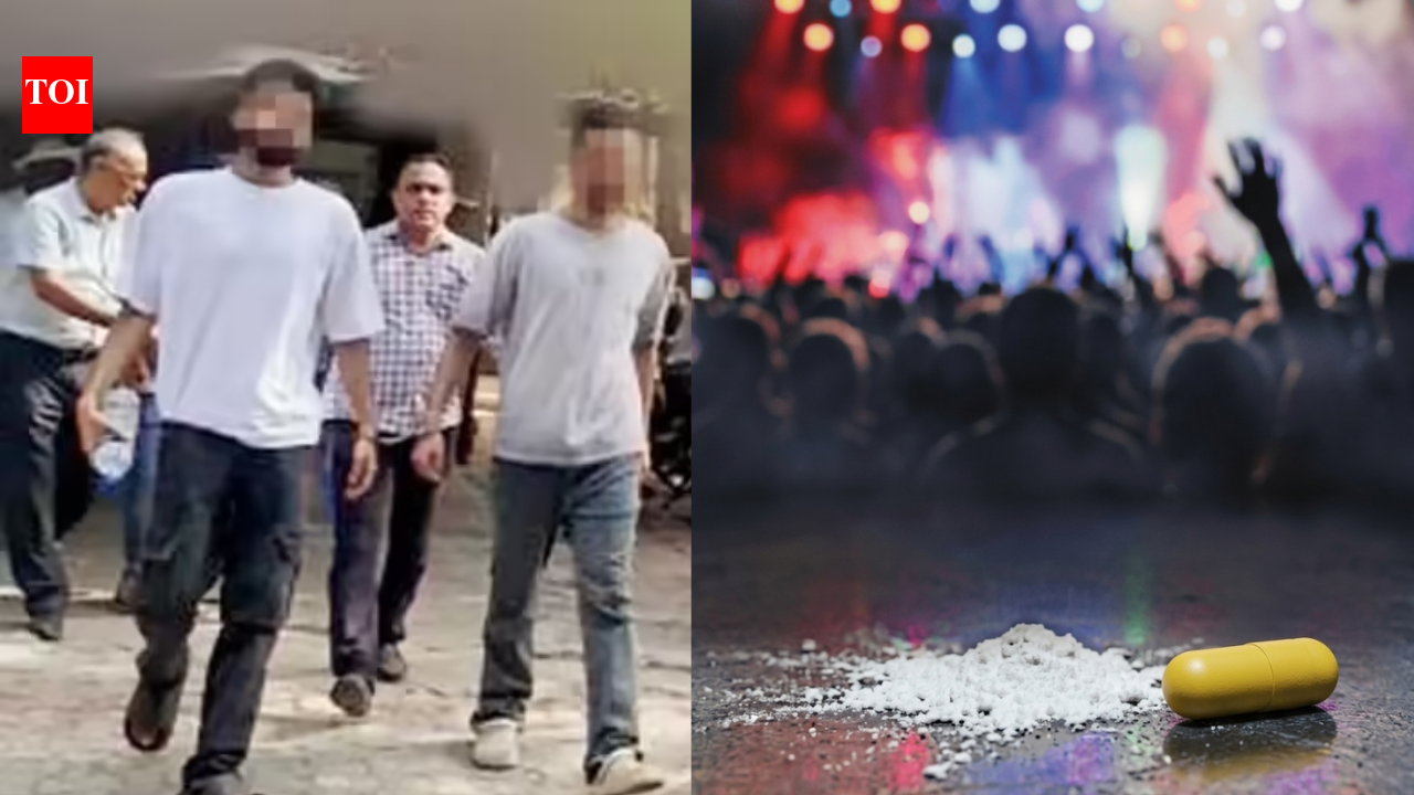 Ecstasy decoded: How a ‘party pill’ turned fatal at a Mumbai concert