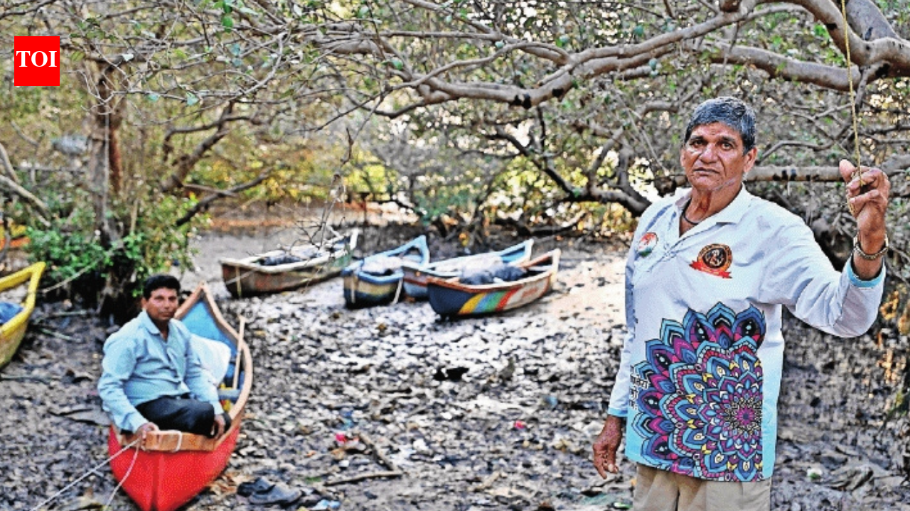 Charkop Koliwada fishermen fear livelihood loss as Mumbai coastal road threatens mangroves, creek ecosystem