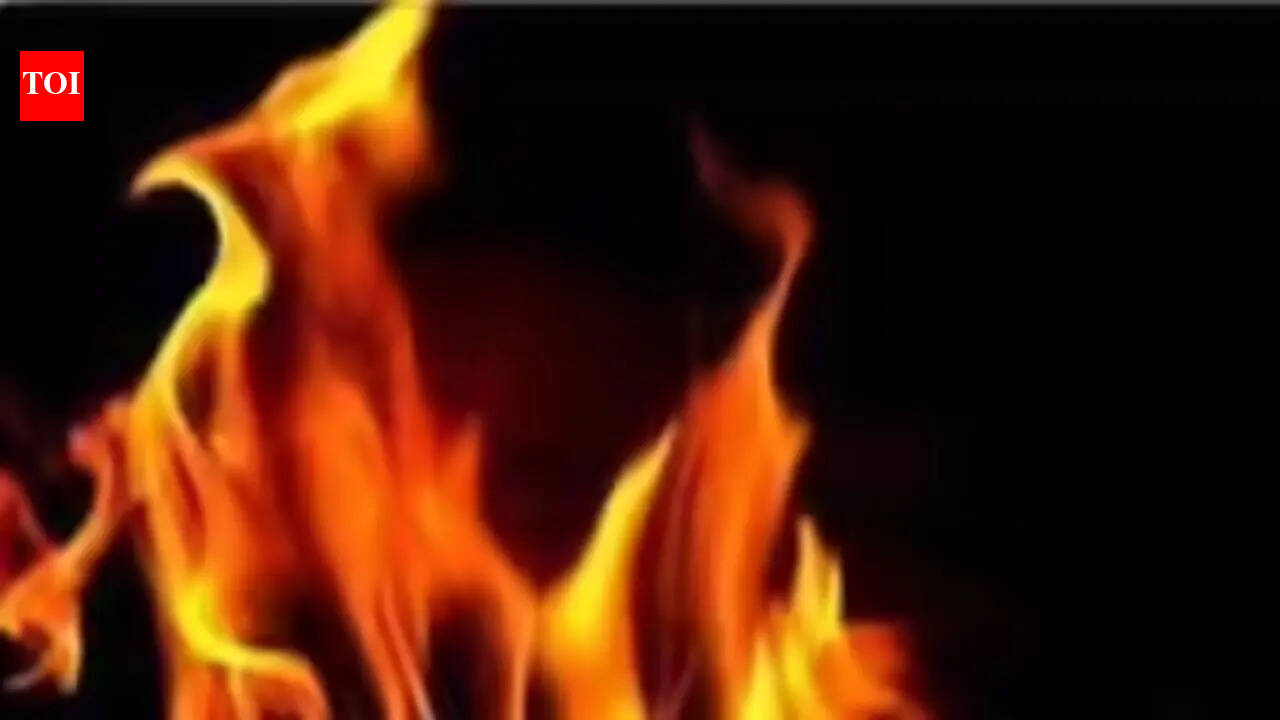 3 killed in Andhra Pradesh gas cylinder blast, houses destroyed