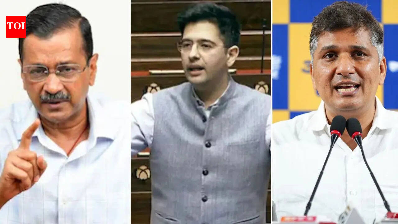 Z security, ED raids row: AAP-Raghav Chadha faceoff turns ugly; BJP piles on