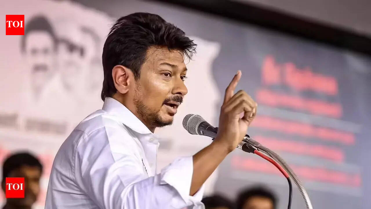 Tamil Nadu assembly polls: PIL in HC flags 'discrepancies' in Udhayanidhi's assets
