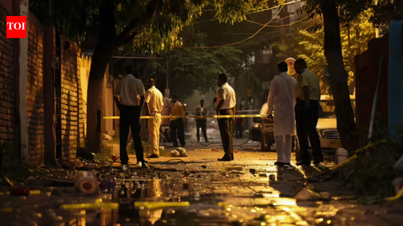 Delhi man murders wife after late-night tiff, surrenders before police