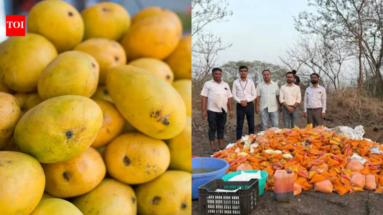 3800 kg mango pulp worth Rs 2, 23,000 adulterated with unsafe colours destroyed: How to identify fake mangoes at home