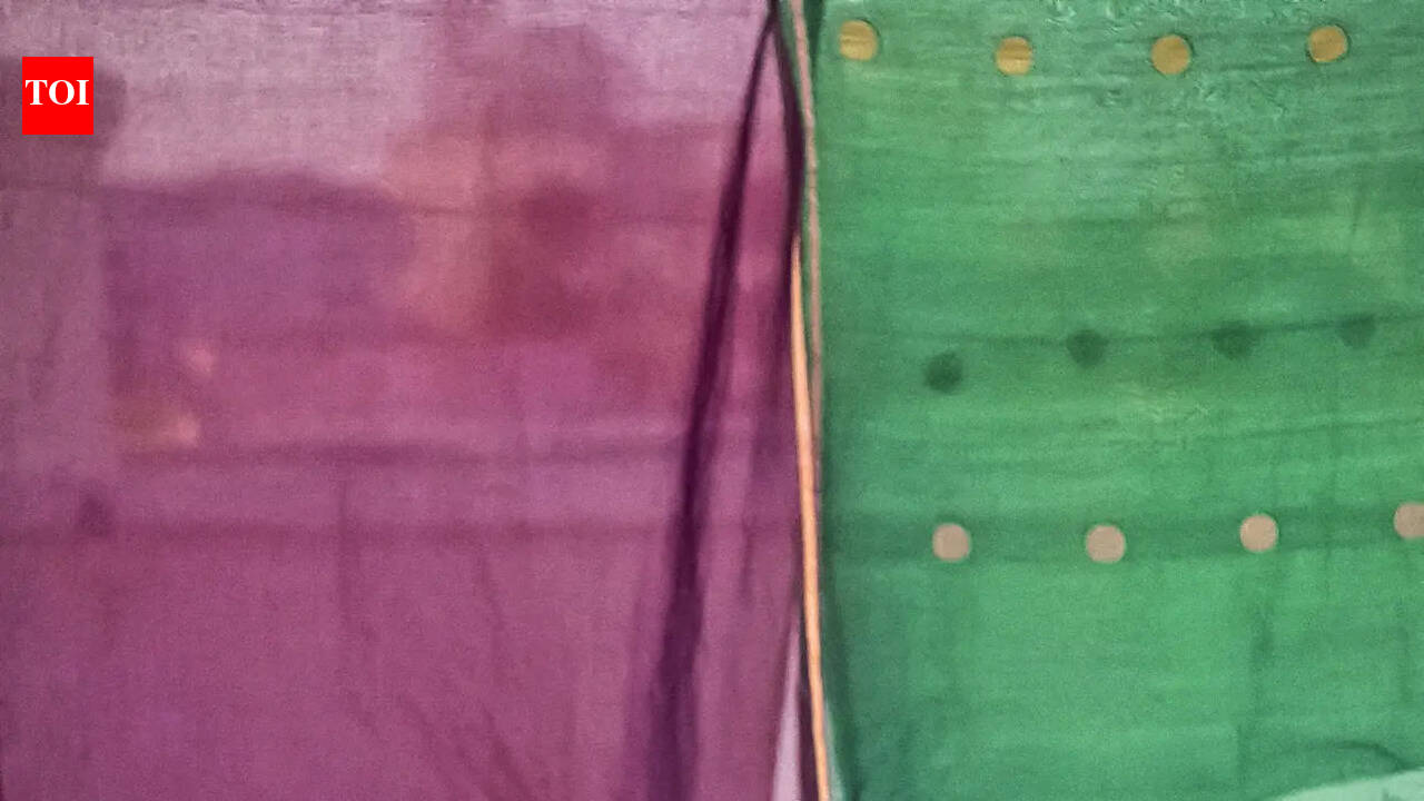 There’s space now for bold, disruptive, and honest storytelling: Sruthi Hariharan