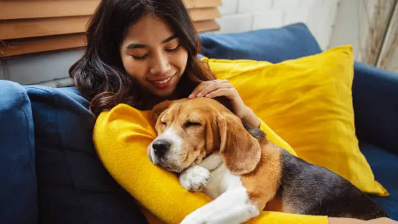 How Intelligent Are Dogs? New Research Reveals Surprising Facts