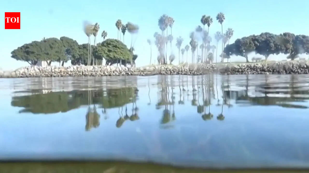 Climate change is outpacing evolution. Scientists are using DNA to catch up