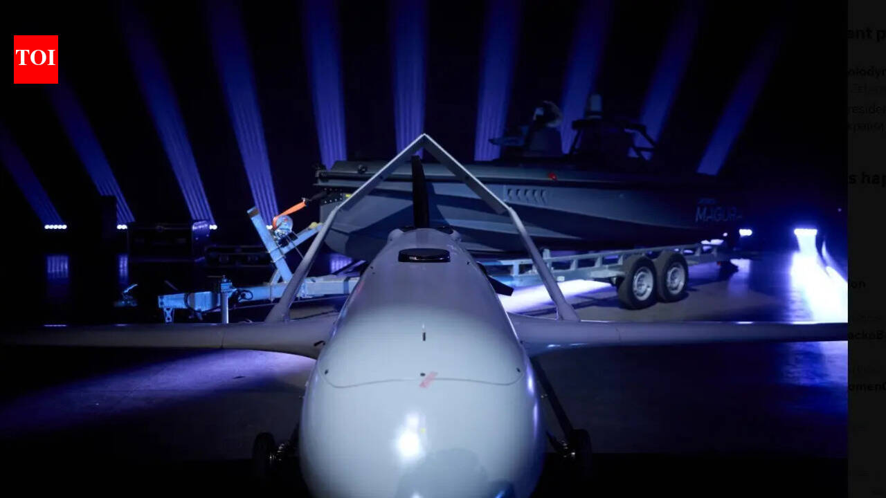 Flamingo, Sea Baby, Protector: Ukraine unveils killer drone arsenal, pioneering remote warfare