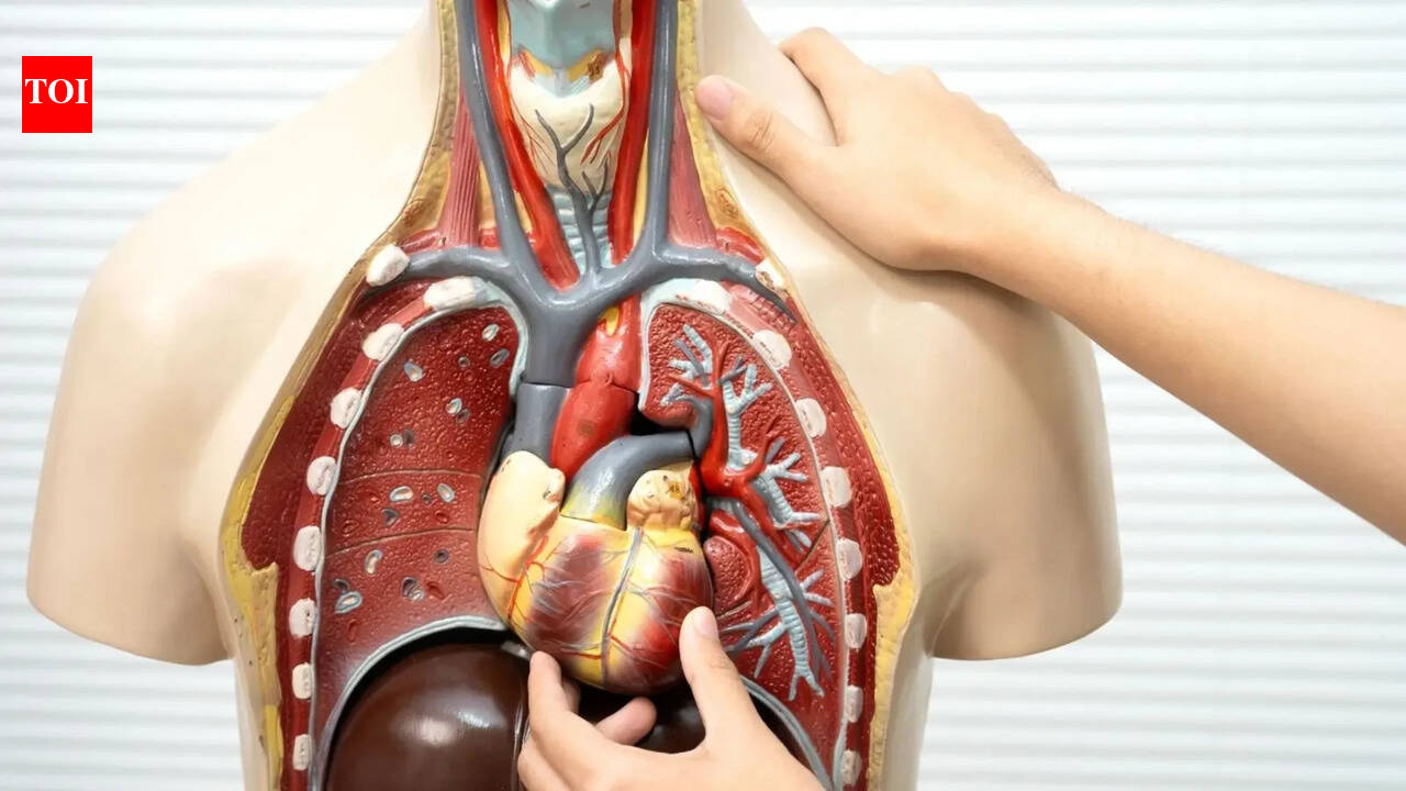 Organ Stress: No symptoms, real risk: Subtle signs of organ stress most people ignore and how to prevent damage – The Times of India
