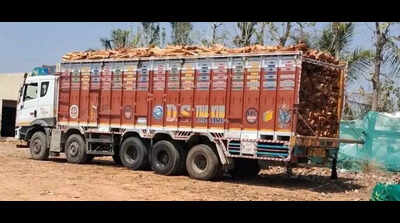Karnataka govt cracks down on illegal timber trade in Hassan forest division