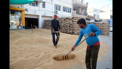 Wheat procurement proves bumpy, farm forums set to block rail traffic